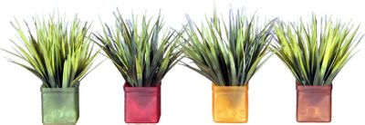 Mini Grass With Acrylic Water S 4