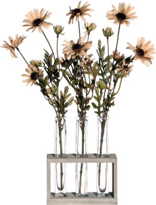 Daisy Tubes With Acrylic Water