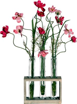 Cosmos Tubes With Acrylic Water