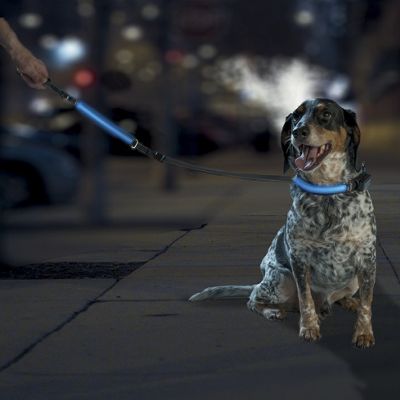 safetyglo leash