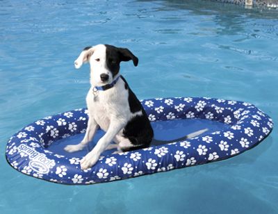 paddle paws spring floats