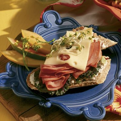 Ham And Wisconsin Swiss Submarine