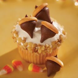 Acorn Cupcake