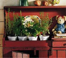 Herbs Tip