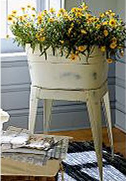Washtub Planter Tip