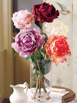 Drying Flowers Tip