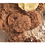 Michigan Rocks Cookies