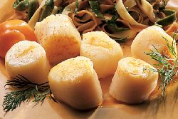 Jumbo Scallops