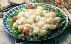 Lobster Meat