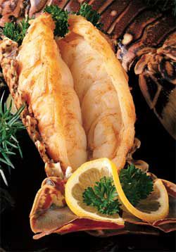 Lobster Tail