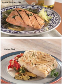 Salmon Filets