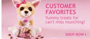 Chihuahua with Candy