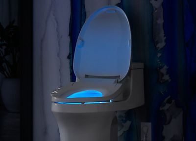 Bidet seats