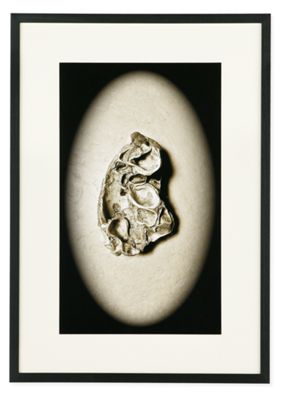 Roberta Allen, Inner Realm, 2012