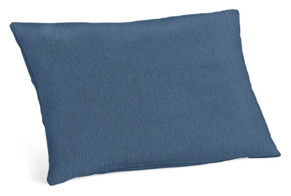 Canvas Blue Pillows