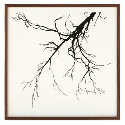 Ayomi Yoshida, Tree 74 I., 2012