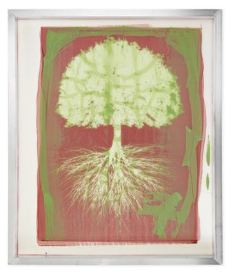 Framed Screen Art, Tree
