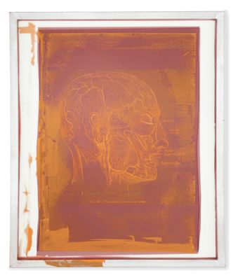 Framed Screen Art, Head