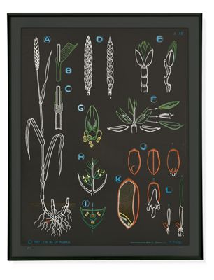 Vintage Dr. Auzoux Chalk Plate