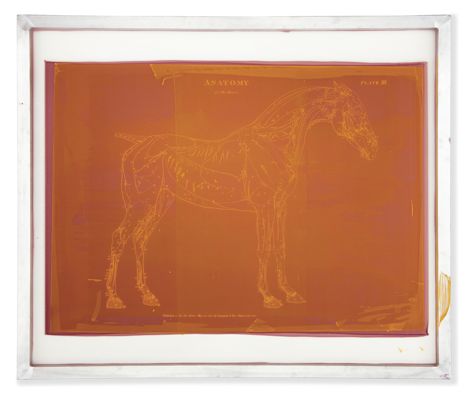 Framed Screen Art, Horse