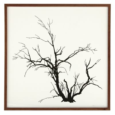 Ayomi Yoshida, Tree 74 A., 2012