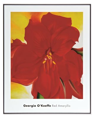 O'Keeffe, Red Amaryllis