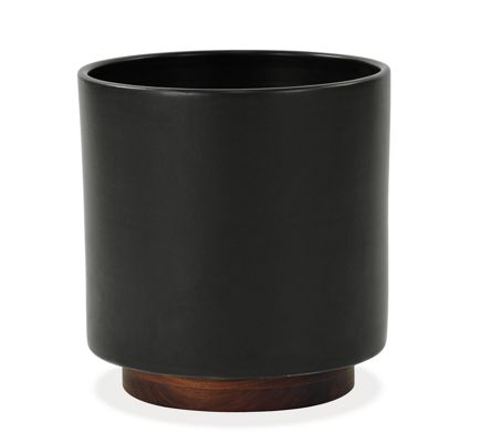 Case Study Planters with Walnut Base