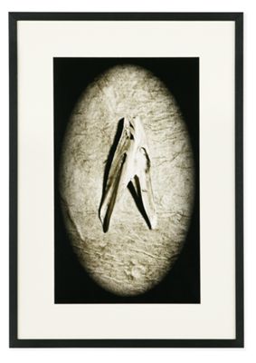 Roberta Allen, Found Memory, 2012