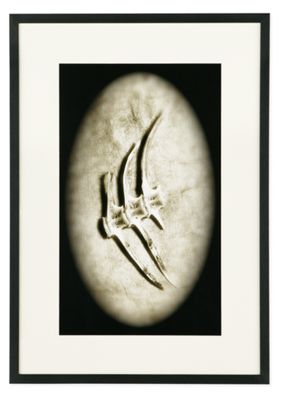 Roberta Allen, Sea Wings, 2012