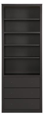 Woodwind Custom 86h 32x17 Cabinet in Ebony with Natural Steel Knobs