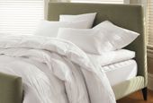 Shop Bedding Basics