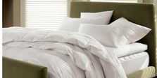 Bedding Basics