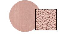 Arden Round High Loop Colors Rugs by the Inch
