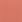 Pure Cotton: Zinnia
