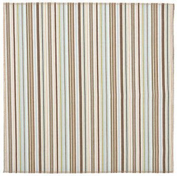 Sassy Stripes: Bark