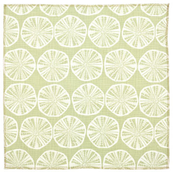 Sea Biscuit:  Sprout