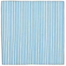 Stripe Tease:  True Blue