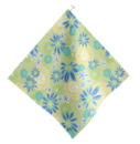 Summer Bloom:  Sprout