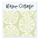 Sea Biscuit:  Sprout  (swatch card)