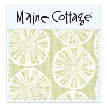 Sea Biscuit:  Sprout  (swatch card)