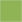 Wheatgrass