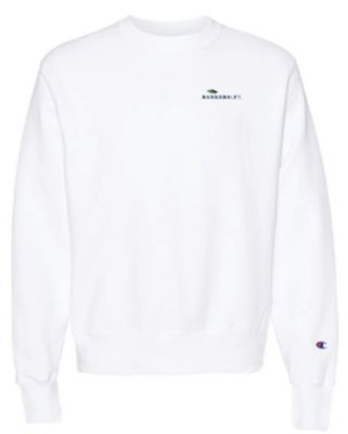Product Alternative Image