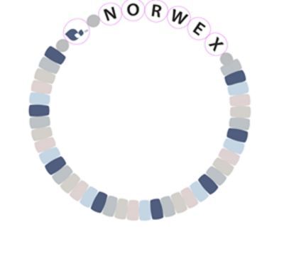 Norwex beaded friendship bracelet with adjustable cord and custom beads.