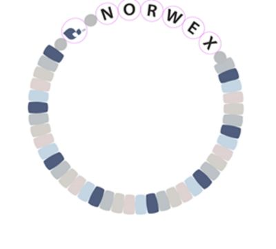 Norwex beaded friendship bracelet with adjustable cord and custom beads.