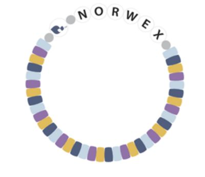 Norwex friendship bracelet with adjustable cord and colorful beads.