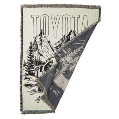 Product Alternative Image