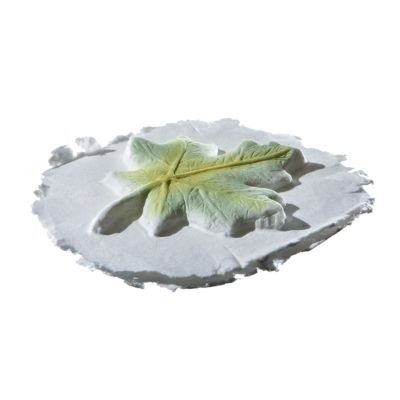 Leaf Token Biodegradable