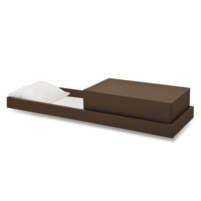 Trayview® 29 Alternative Container Batesville