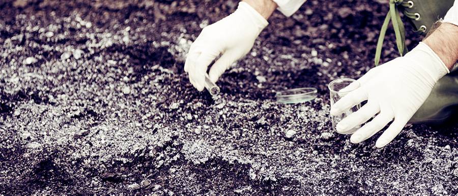 Protecting the Environment