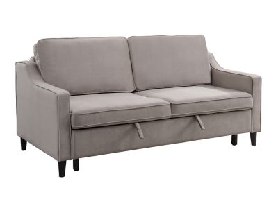 Dickinson Sofa with Pull Out Bed - Furniture Row